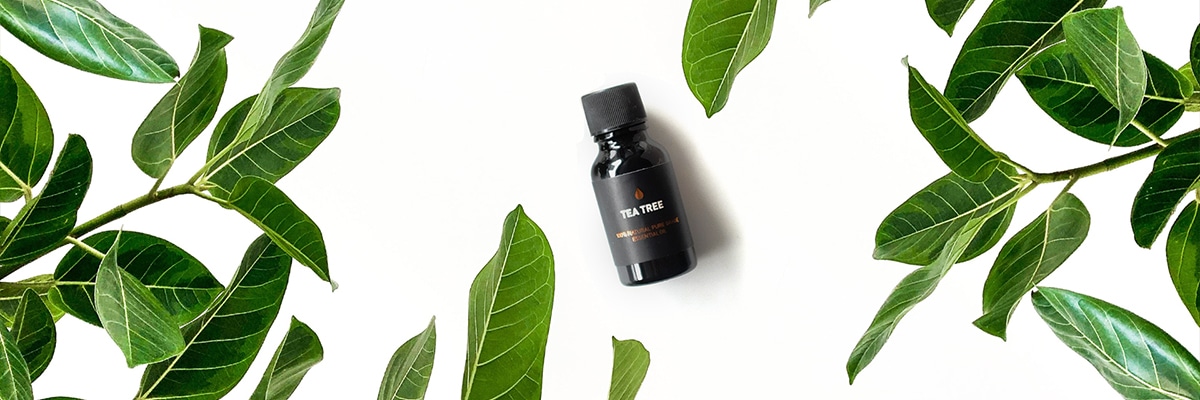 Way of Will - Blog -Benefits of Tea Tree Oil - Featured