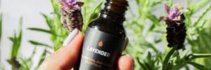 Why Lavender Is One of the Most Used Essential Oils