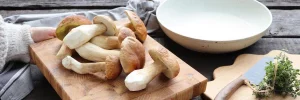 Shiitake Mushroom Benefits: Why You Should Eat Them Every Day