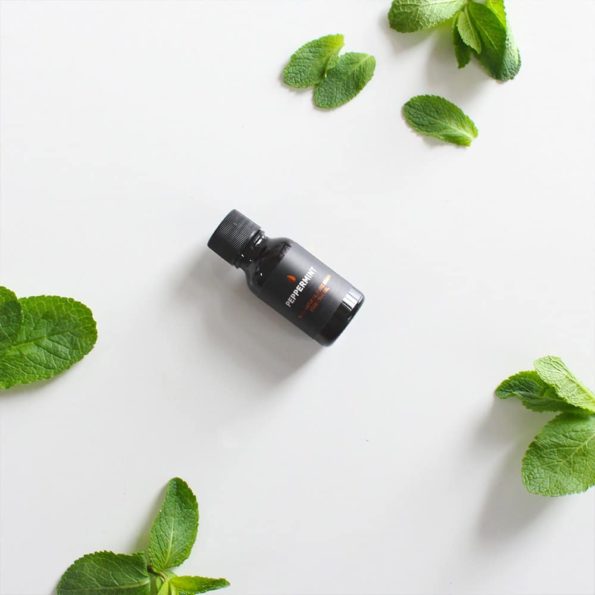 peppermint-essential-oil-mint-leaves.jpg