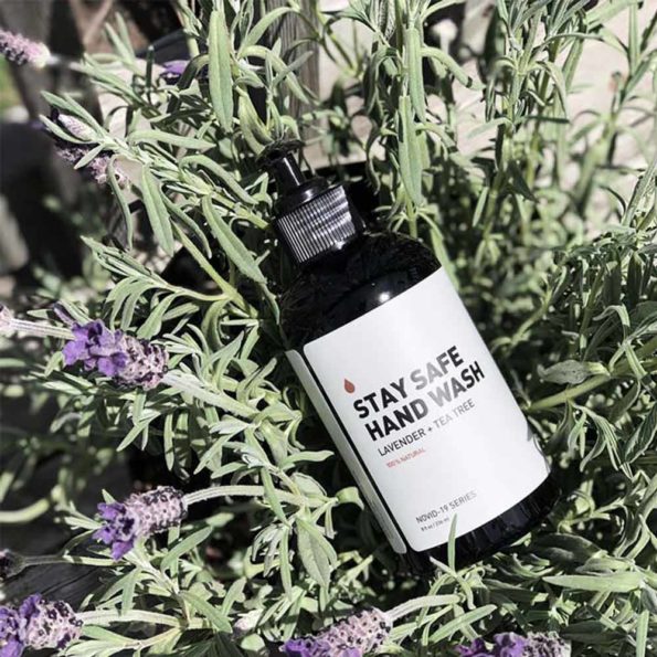 stay-safe-hand-wash-in-lavender-plant.jpg
